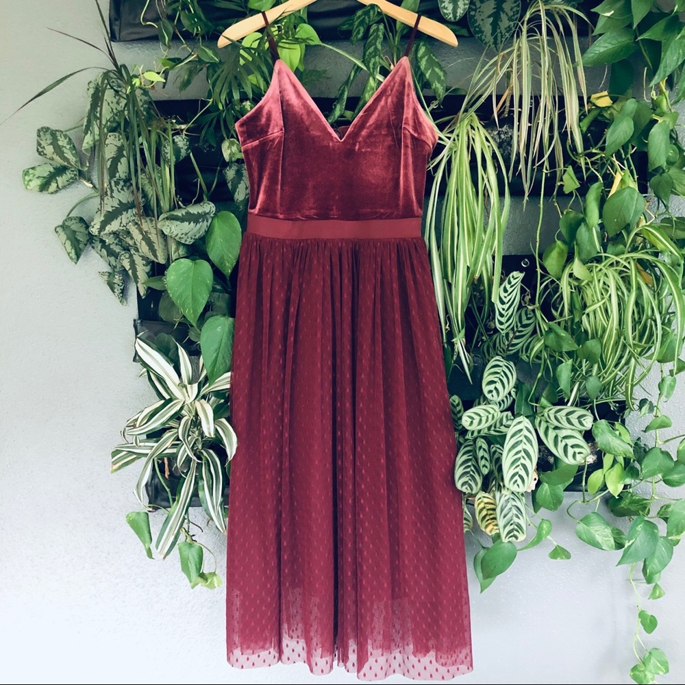 NWT Express Velvet Bodice Tulle Midi Dress, Wine